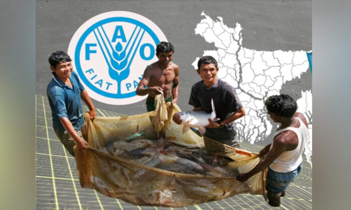 #FAO#FishProduction #Bangladesh